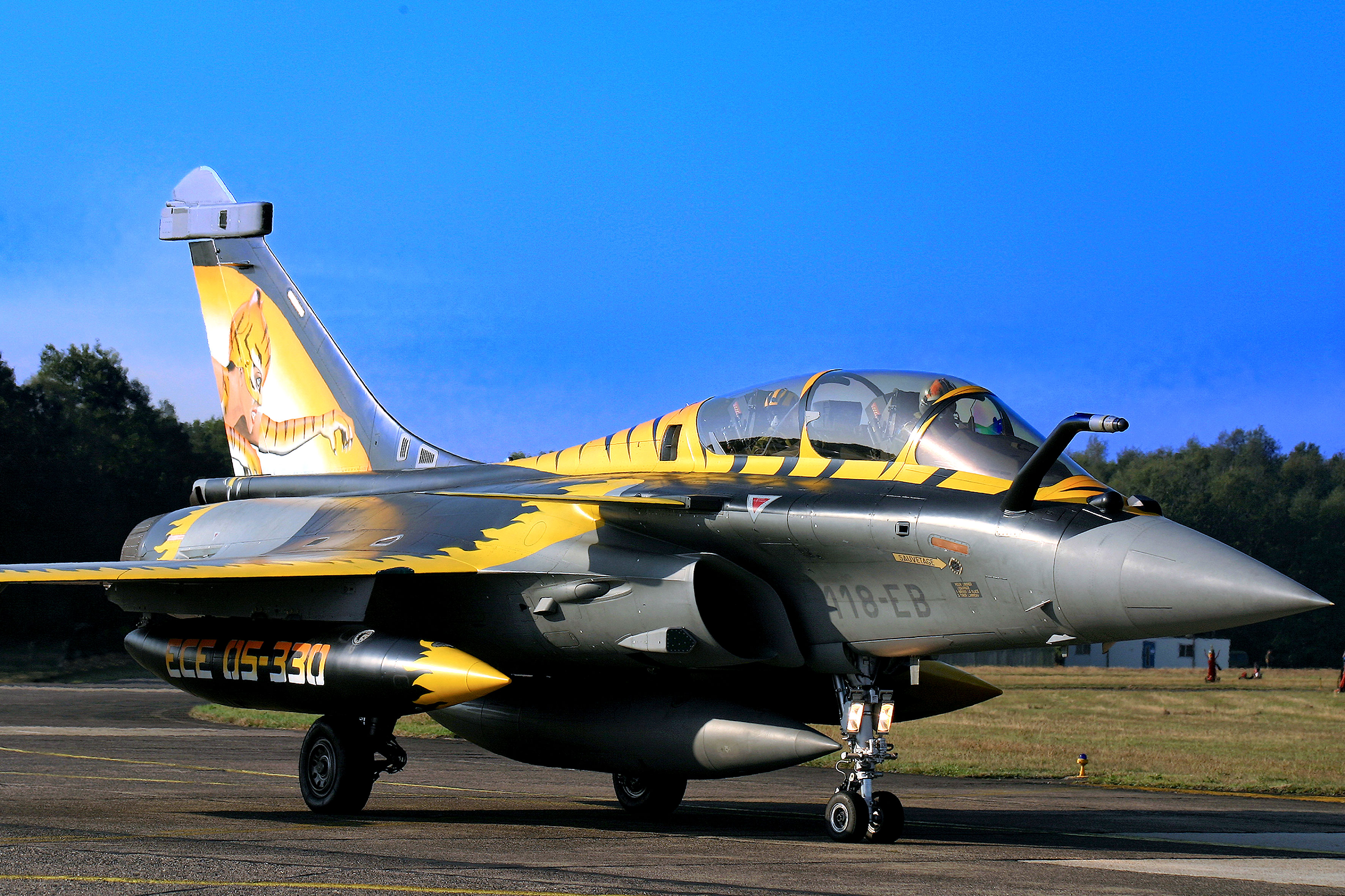 Auf dem selben NTM zeigte sich "Catwoman" auf dem Heckleitwerk dieser getigerten RAFALE © Marco Wadin 2009